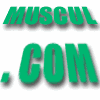 The bodybuilding web site